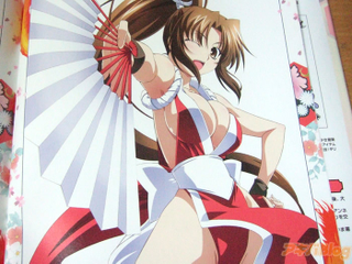 Illustration for article titled Mai Shiranui Ravaged
